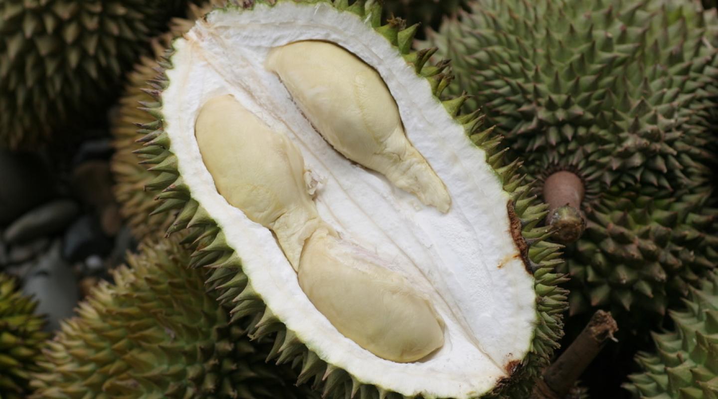 Spike fruit