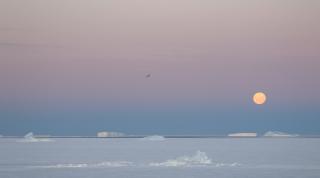 Antarctica landscape