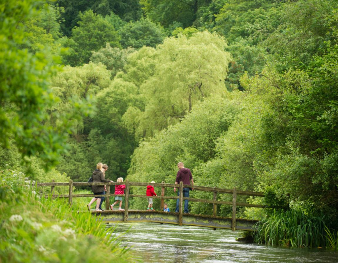 Learn about UK rivers and chalk streams | WWF
