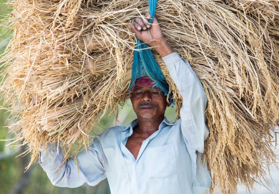 The Ganges: India's sacred river | WWF