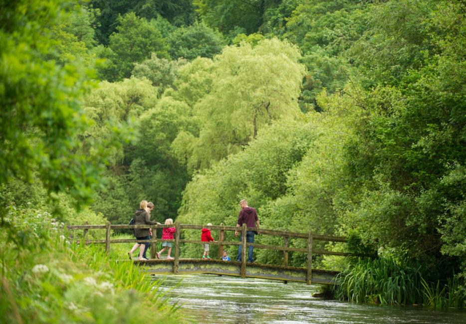 UK rivers and chalk streams | WWF