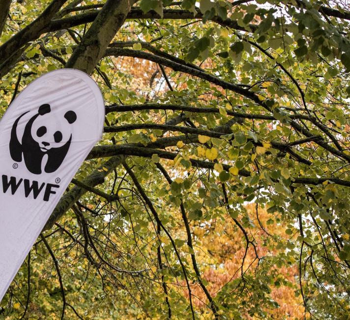 WWF Flag