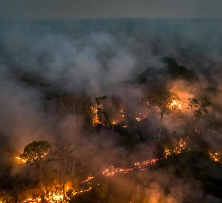 Amazon Rainforest deforestation and fire