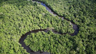 Aerial shot of the Amazon with a winding river Aerial shot of the Amazon with a winding river, Loreto region, Peru.