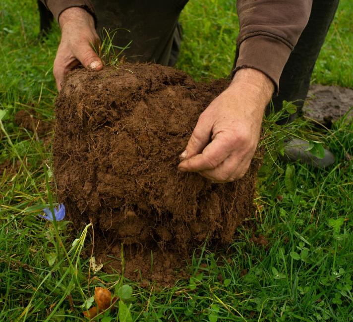 Regenerative farmer Hywel Morgan on his farm in Wales 