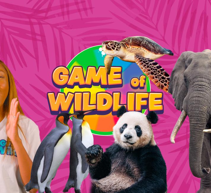 Game of Wildlife