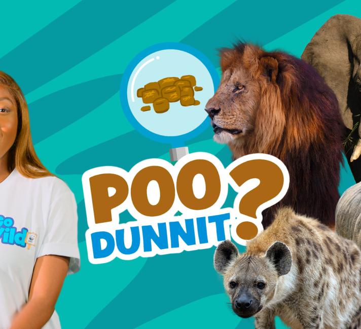 Poo-dunnit episode 2