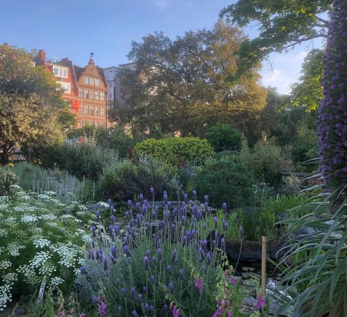 Chelsea Physic Garden London