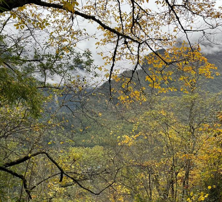 View from the mountain that was home to the very first panda field observation station, Wolong, China