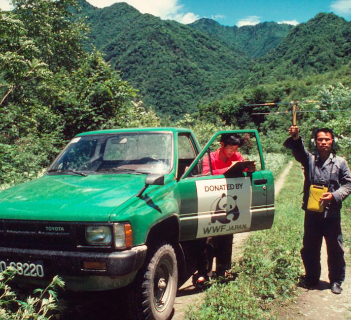 Researchers use radio-location to track Giant pandas, a continuation of the research technique introduced by Dr George Schaller to the wider panda research team. Sichuan Province, China