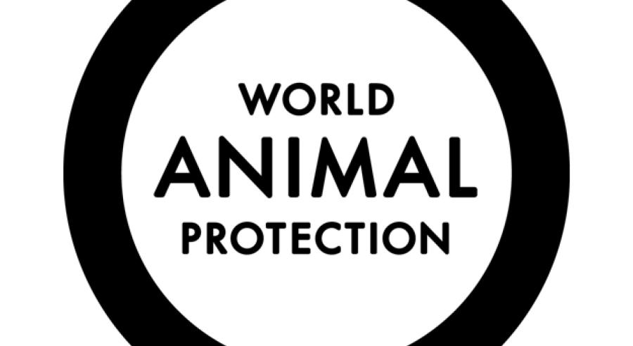 World Animal Protection