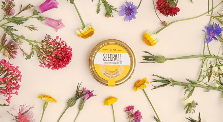 Seedball Wildflower Bee Mix Tin