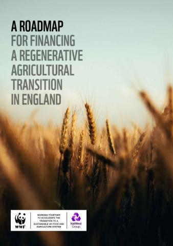 A Roadmap For Financing A Regenerative Agriculture Transition In   Roadmap Financing Agricultural Transition Engalnd Thumbnail 