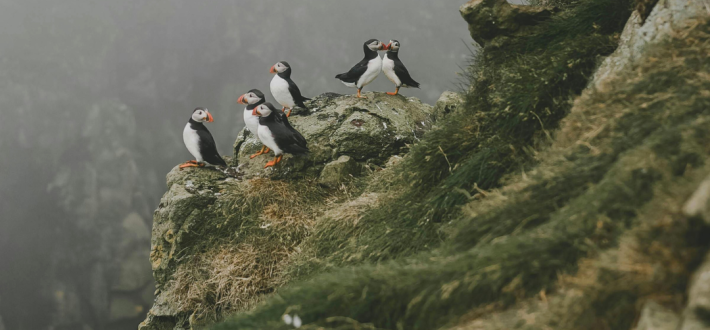 It's in our nature to act