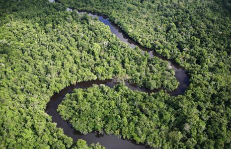 Protecting the Amazon