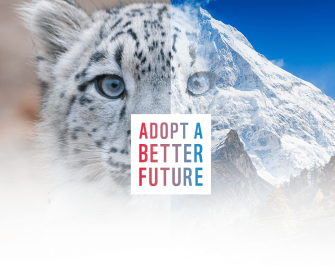 How we can fight climate change