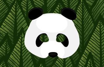 Panda Mask