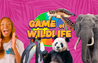 game-of-wildlife