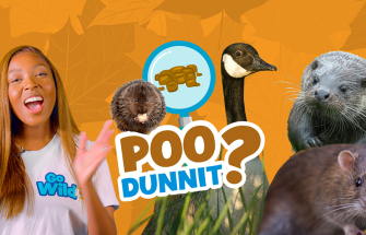 poodunnit