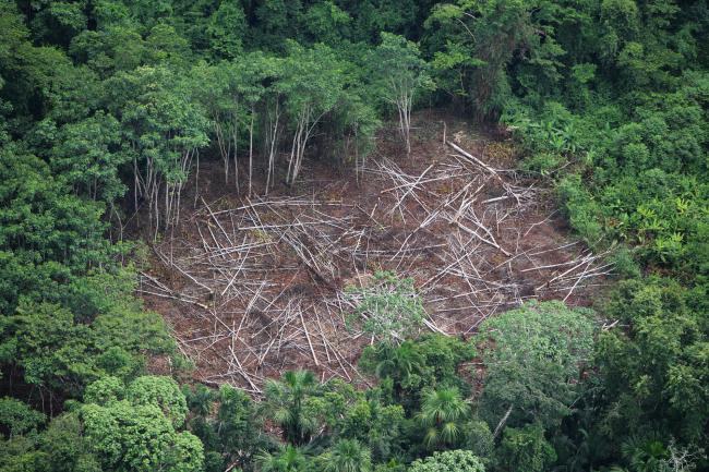 Aerial shot of deforestation in the Amazon, Peru.