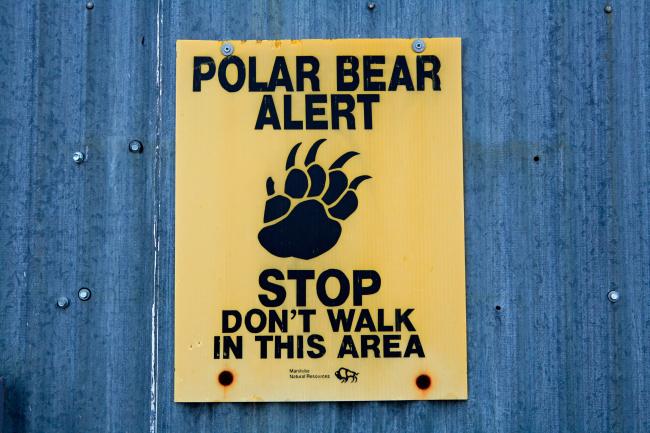 Polar bear warning sign