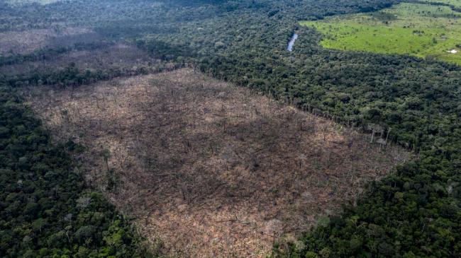 Illegal deforestation found in the indigenous Uru-Eu-Wau-Wau territory.