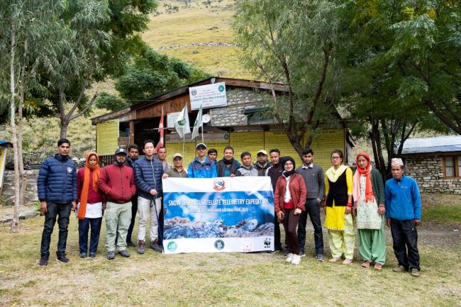 WWF Nepal team - snow leopard collaring