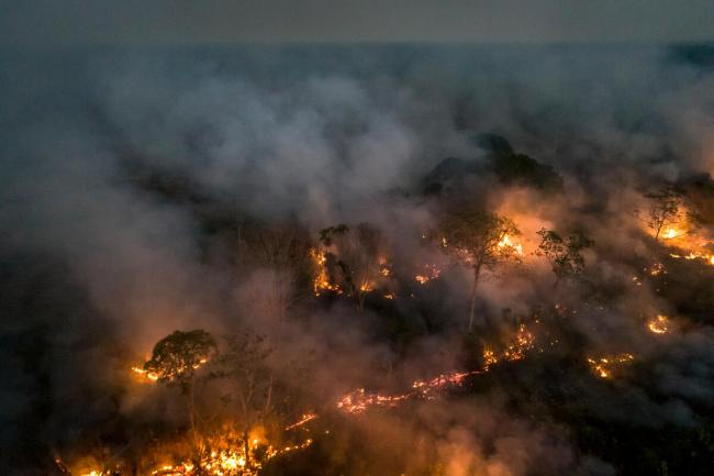 Amazon Rainforest deforestation and fire