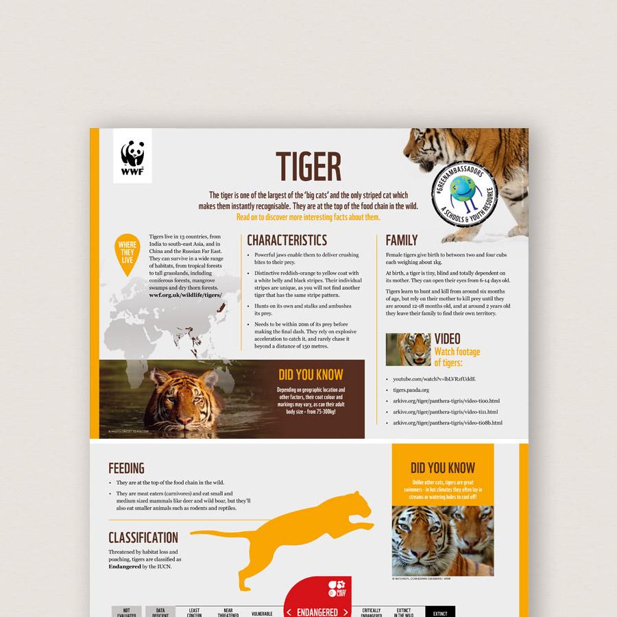 Tiger Tales Classroom Resources And Activities | WWF