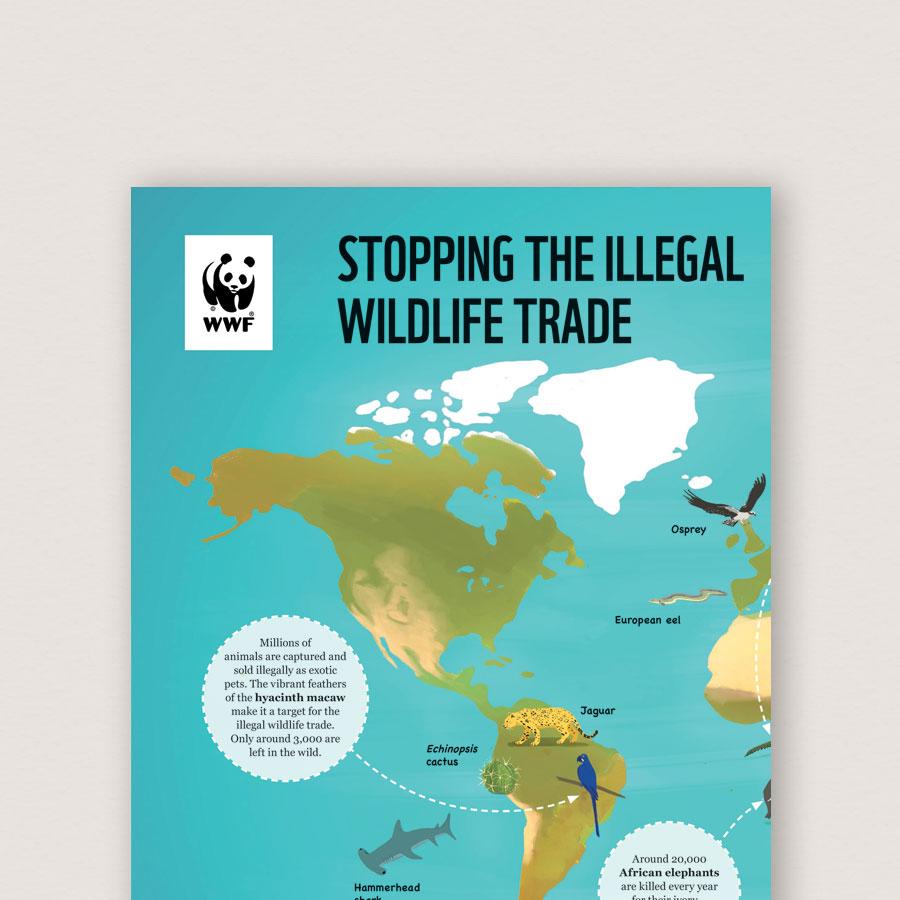 Illegal Wildlife Trade Classroom Resources | WWF