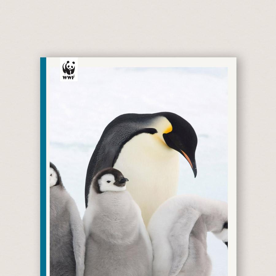 Explore poster resources | WWF