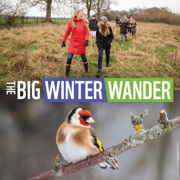 The Big Winter Wander Terms and Conditions WWF