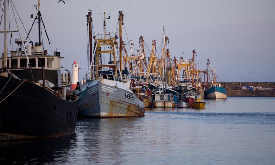 Fishing trawlers moored in Newlyn Harbour