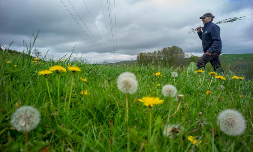 Farmer in field