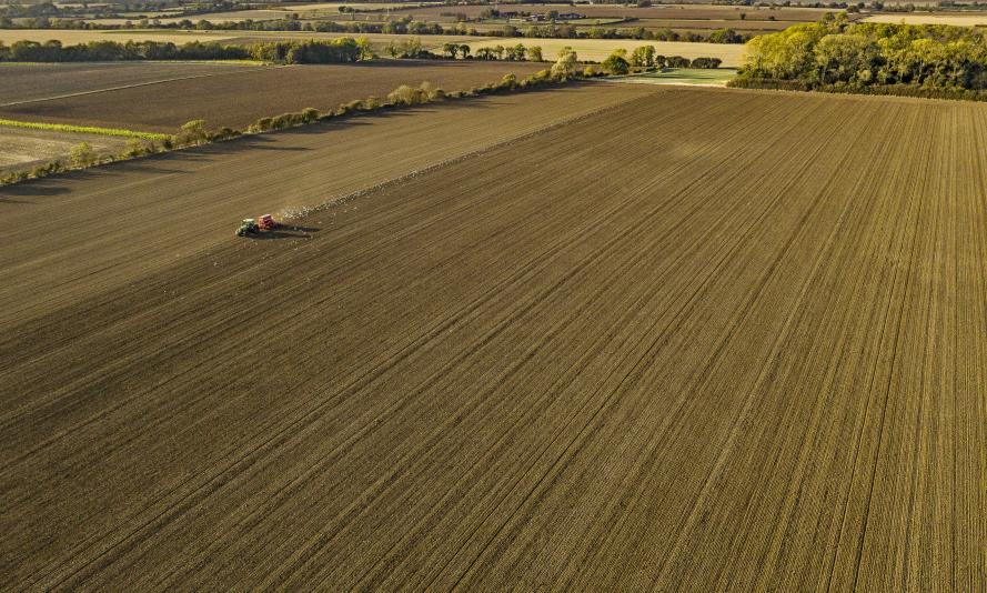 Since the 1970s, UK farming has simplified and intensified, providing less and less habitat for native wildlife