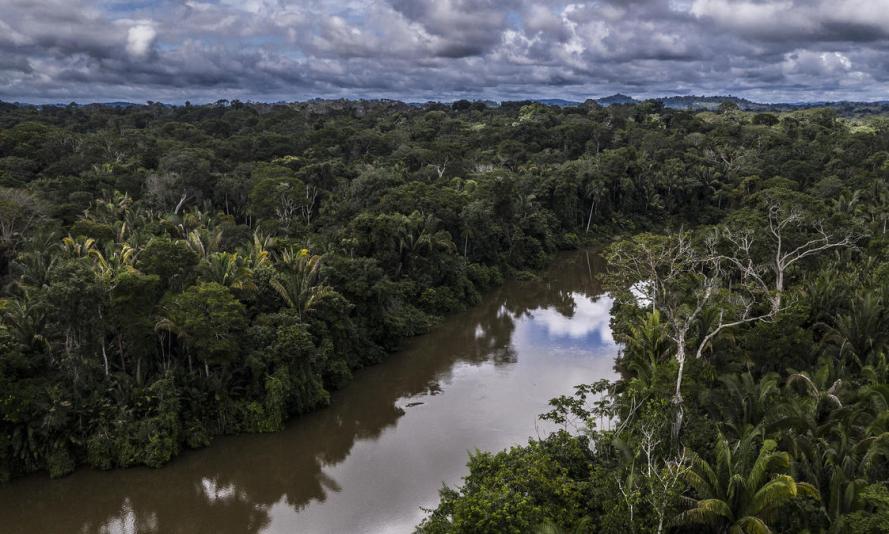 An image taken by a drone of the Jamari river, Rondônia