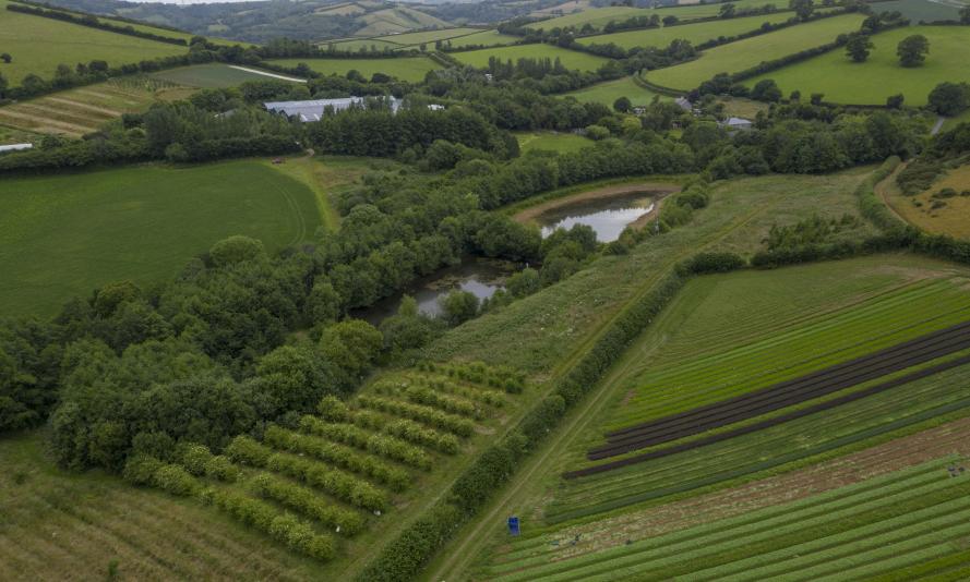 Riverford Farm in Devon