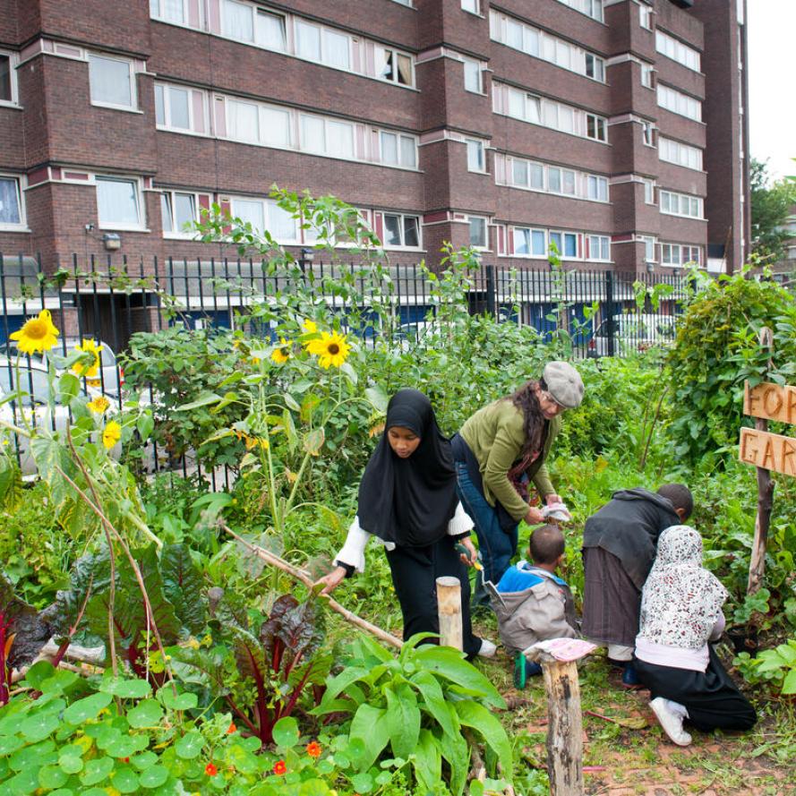 People working and looking around in Evelyn Community Gardens, Deptford, London, England, UK People working and looking around in Evelyn Community Gardens, Deptford, London, England, UK