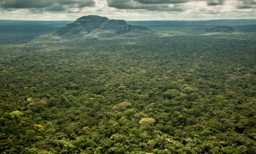 Aerial view of the tepuis of Chiribiquete National Park, Columbian Amazon