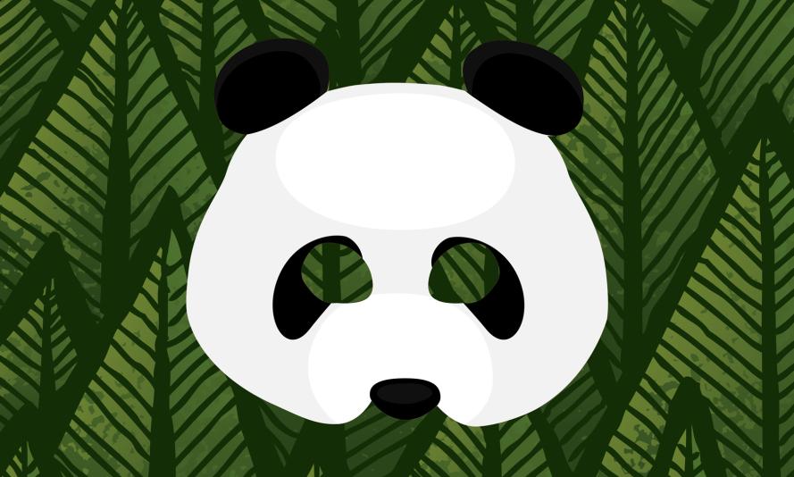 National Panda Day 2025 | WWF