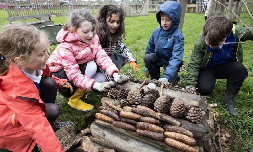 Schools for Nature