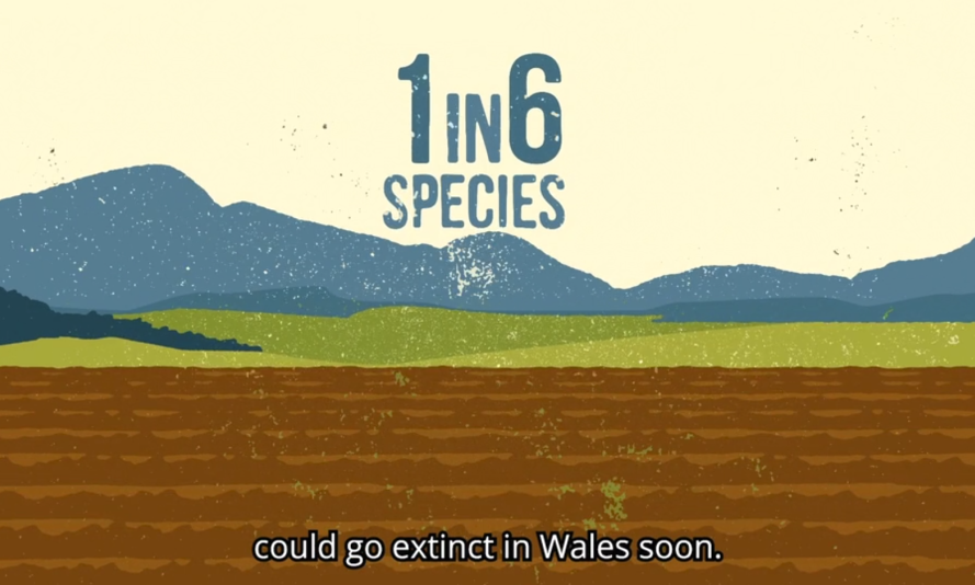 A graphic, showing mountains and a cultivated field, includes the text: 1 in 6 species could go extinct in Wales soon.