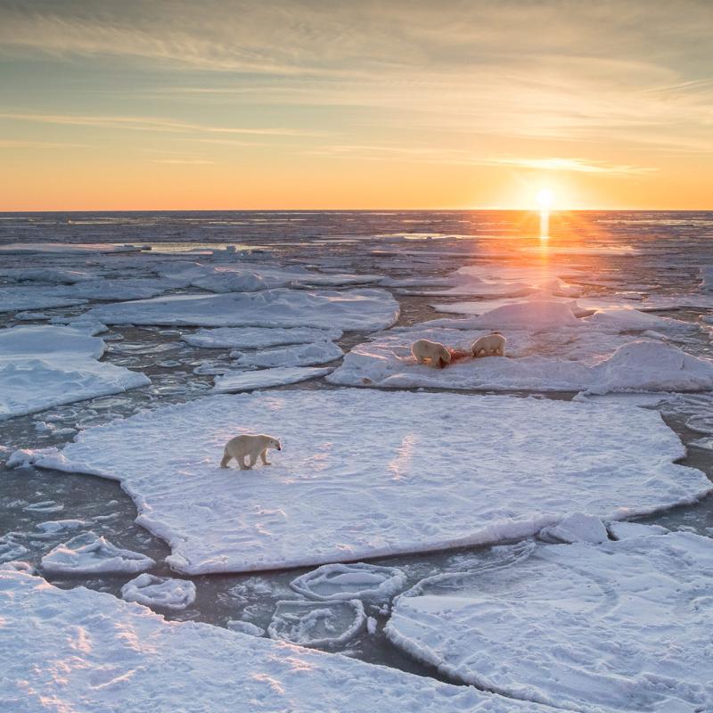 How climate change is affecting the seasons