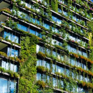 Green skyscraper building with plants growing on the facade. Sydney, Australia