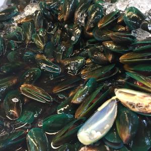 Green Mussel, Thailand