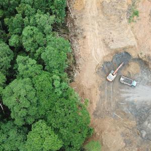 Deforestation aerial photo. Rainforest jungle in Borneo, Malaysia, destroyed to make way for oil palm plantations. 