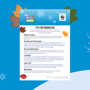 Big Winter Wander Top Fundraising Tips List