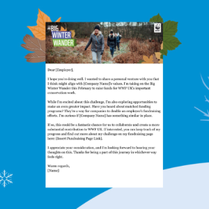 Big Winter Wander Matched Giving letter template to employers