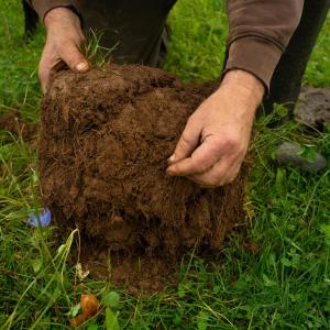 Regenerative farmer Hywel Morgan on his farm in Wales 