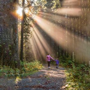 Mother and daughter walking through forest